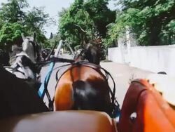 Phaeton Trip at Prince's Islands in Istanbul Stock Footage