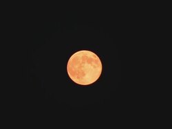 Supermoon Stock Footage