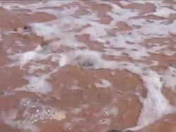 Courage Stock Footage