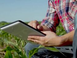 MS DS Farmer With A Digital Tablet Stock Footage
