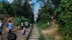 View of railroad track in Arboretum Stock Footage
