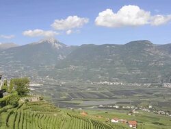 WS PAN View of vineyard and castle Lebenberg in front of mountains / Merano, Trentino, South Tyrol, Italy Stock Footage