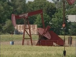 MCU red metal oil pump operating, zooming out to MS with 2nd working oil pump in corn field, tree horizon, sunny, USA Stock Footage
