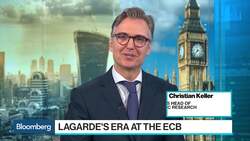 Is It a Hawk? Is It a Dove? No, It's an Owl! News Clip