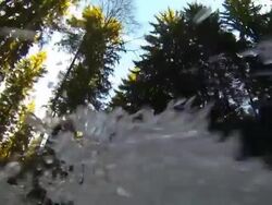 HD Wild forest river POV Stock Footage