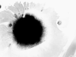 Ink Splat Series 2 HD Stock Footage