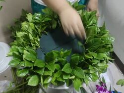 Florists Stock Footage