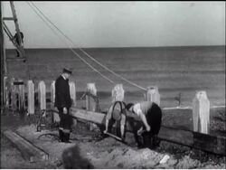 HORSEY - BUILD UP YOUR BANK - News Clip