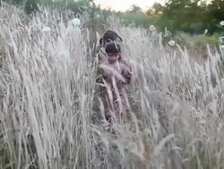 Adorable Kids Walking Through Tall Grass in Halloween Costumes, Video Stock Footage