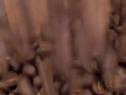 Fresh Roasted Coffee Beans Pouring Into a Coffee Tin Stock Footage