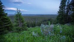 Yellowstone Stock Footage