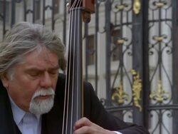 Close up street musican playing the double bass / Prague Stock Footage