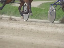 HD SUPER SLOW MO: Harness Horses Racing Stock Footage