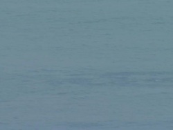 Fishermen At Sea During Ceasefire in Gaza News Clip