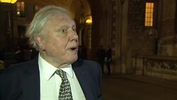 Interview with David Attenborough on the illegal ivory trade News Clip