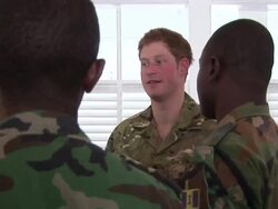 Prince Harry with Military Stock Footage