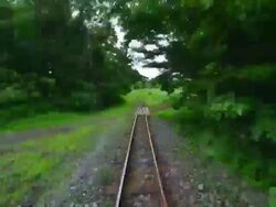 WS T/L View of train as it passes woods in eco land jeju / Jeju, Jeju-do, South Korea Stock Footage