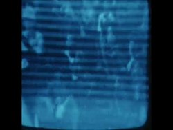 SYND 16-8-71 US VOLLEYBALL PLAYERS VISIT CUBA News Clip