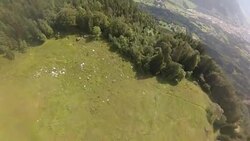 POV wingsuit flying over cliffs and alpine forests Stock Footage