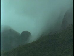 WA fog moving in over jungle covered mountainside, Uganda, Africa Stock Footage