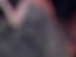 Halloween Decorations In Fancy Dress Shop News Clip