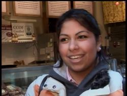 The government has decided that food from cloned animals is safe to eat and does not require special labeling. News Clip