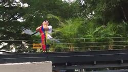 CLEAN : Leopoldo Lopez raises Venezuelan flag from rooftop amidst cheers News Clip