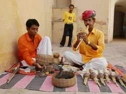 MS Snake Charmer Stock Footage