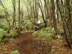 HD CRANE: MX Rider Speeding Through Forest Stock Footage