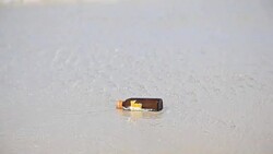 HD Dolly:Waste bottles were left on the beach. Stock Footage