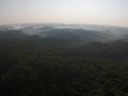 Morning Wilderness Pan Stock Footage