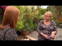 Breast cancer rate falls in Britain News Clip