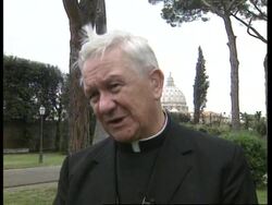 Cardinal comments on child abuse scandal, protests News Clip