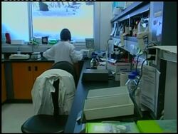 Tight net for drug cheats at Winter Games News Clip