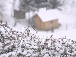 HD SUPER SLOW MO: Idyllic House In Winter Stock Footage