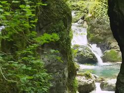 HD SLOW MOTION: Waterfall In A Green Forest Stock Footage