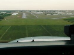 AERIAL: Poaching And Climate Change Threaten Endangered Plants In Everglades Stock Footage