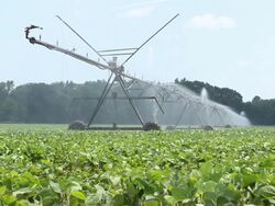 Watering the Crops Stock Footage