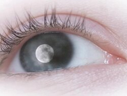 Moonlight Stock Footage