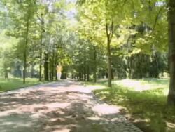 NTSC CRANE: Jogging in the park Stock Footage
