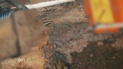 Lumber industry - Conveyors of logs in front of cutting machines. Stock Footage