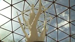 The Glass Igloo displays deforestation themed sculptures in Belo Horizonte, Brazil. Stock Footage