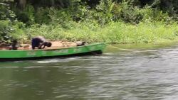 VOICED : Swings and roundabouts: powering rural Ghana through play News Clip