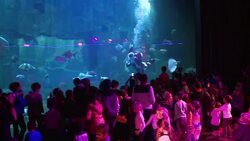 VOICED : Un Papa Noel acuatico en Paris News Clip