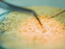 Scientist and bio lab experiment Stock Footage