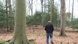 CLEAN : Leave ring necked parakeets alone: Dutch biologist News Clip