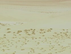 MS AERIAL Shot of desert / Qatar Stock Footage
