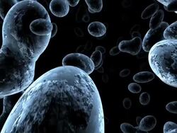 SEM Molecular Structure Stock Footage