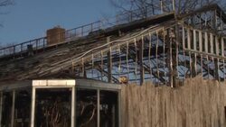 CLEAN : Dozens of monkeys die in German zoo fire News Clip