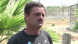 VOICED : Zoo en Gaza es victima de la guerra News Clip